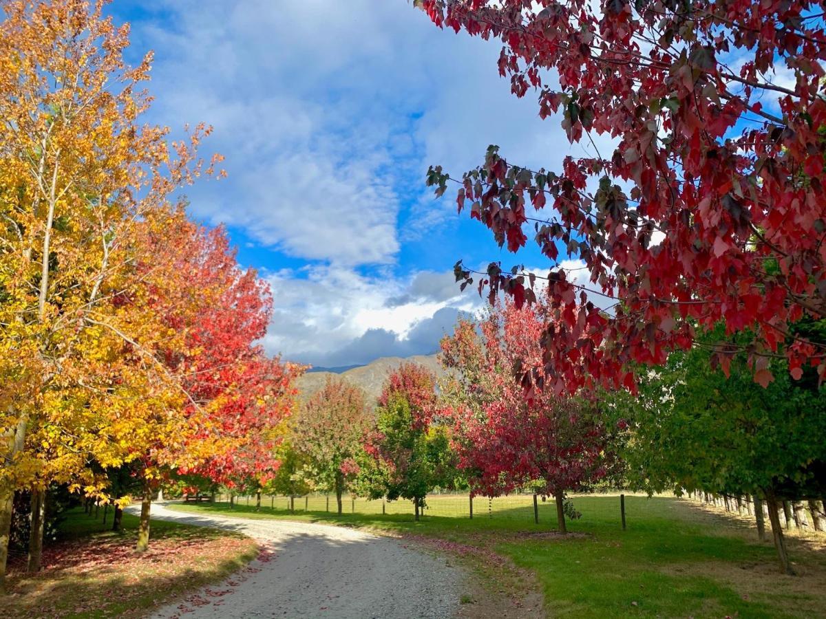 Queenstown Country Lodge Lake Hayes Kültér fotó